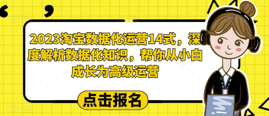 （6475期）2023淘宝数据化-运营 14式，深度解析数据化知识，帮你从小白成长为高级运营-iTZL项目网