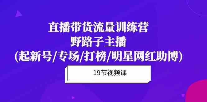 （10016期）直播带货流量特训营，野路子主播(起新号/专场/打榜/明星网红助博)19节课-iTZL项目网