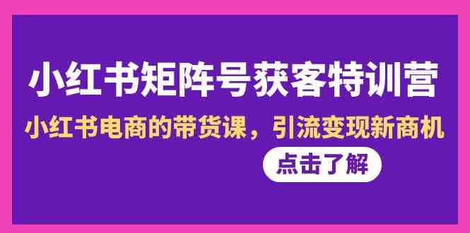 （8909期）小红书-矩阵号获客特训营-第10期，小红书电商的带货课，引流变现新商机-iTZL项目网