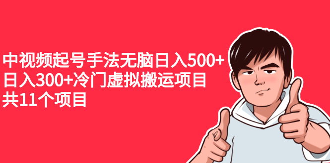 （2224期）中视频起号手法无脑日入500+日入300+冷门虚拟搬运项目（共11个项目）-iTZL项目网