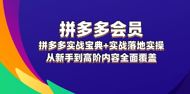 （12056期）拼多多 会员，拼多多实战宝典+实战落地实操，从新手到高阶内容全面覆盖-iTZL项目网