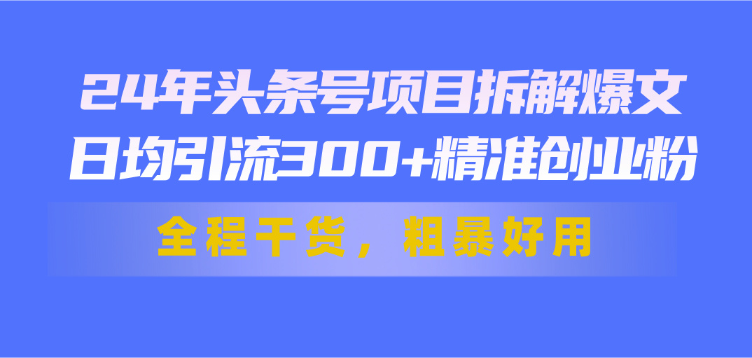 （11397期）24年头条号项目拆解爆文，日均引流300+精准创业粉，全程干货，粗暴好用-iTZL项目网