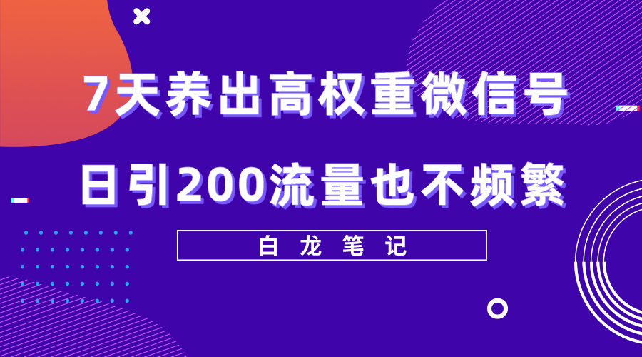 （5630期）7天养出高权重微信号，日引200流量也不频繁，方法价值3680元-iTZL项目网