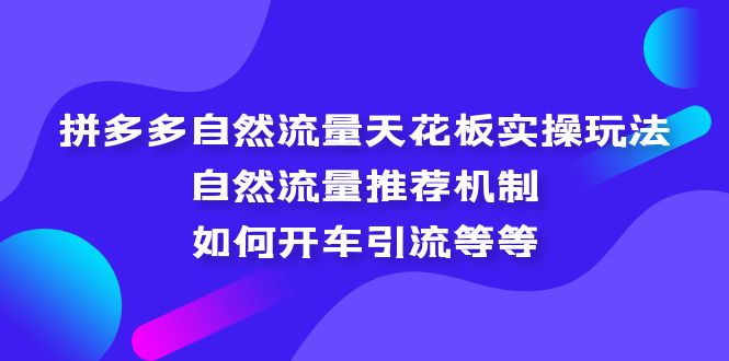 （5327期）拼多多自然流量天花板实操玩法：自然流量推荐机制，如何开车引流等等-iTZL项目网