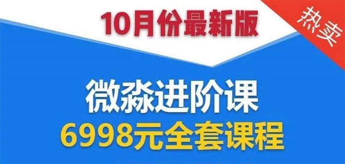 （1553期）微淼理财进阶课全套视频：助你早点实现财务自由，理论学习+案例分析+实操-iTZL项目网