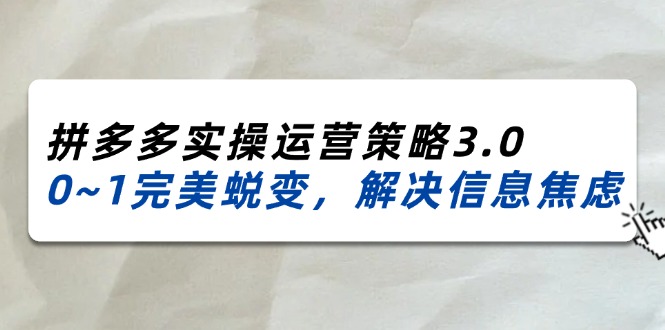 （11658期）2024_2025拼多多实操运营策略3.0，0~1完美蜕变，解决信息焦虑（38节）-iTZL项目网