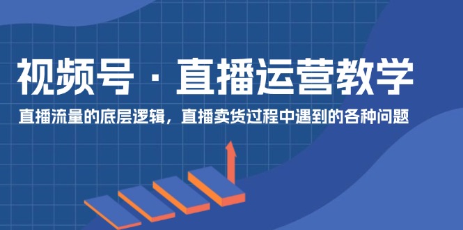 （11687期）视频号 直播运营教学：直播流量的底层逻辑，直播卖货过程中遇到的各种问题-iTZL项目网