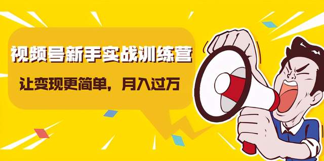 龟课视频号新手实战训练营，让变现更简单，玩赚视频号，轻松月入过万-iTZL项目网