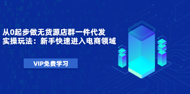 （1471期）从0起步做无货源店群一件代发实操玩法：新手快速进入电商领域（40节视频）-iTZL项目网