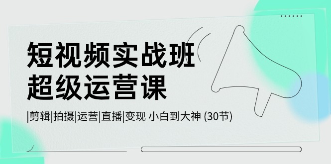 （10836期）短视频实战班-超级运营课，|剪辑|拍摄|运营|直播|变现 小白到大神 (30节)-iTZL项目网