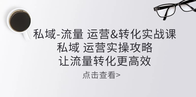 （10739期）私域-流量 运营&转化实操课：私域 运营实操攻略 让流量转化更高效-iTZL项目网