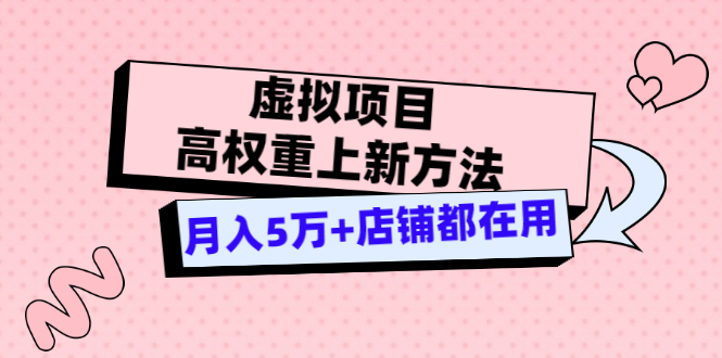 （3151期）虚拟项目高权重上新方法，月入5万+店铺都在用（实战）-iTZL项目网