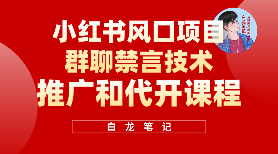 （5973期）小红书风口项目日入300+，小红书群聊禁言技术代开项目，适合新手操作-iTZL项目网