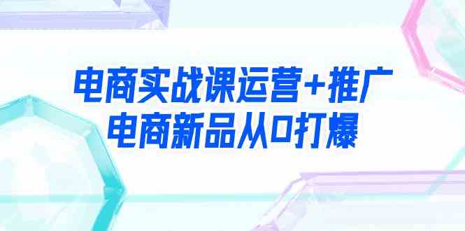 （9313期）电商实战课运营+推广，电商新品从0打爆（99节视频课）-iTZL项目网