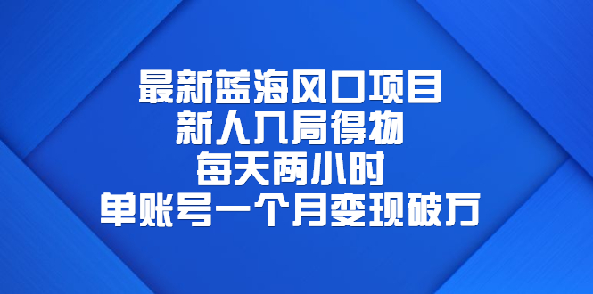 （6514期）最新蓝海风口项目，新人入局得物，每天两小时，单账号一个月变现破万-iTZL项目网