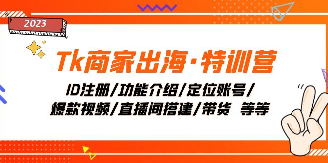 （7974期）Tk商家出海·特训营：ID注册/功能介绍/定位账号/爆款视频/直播间搭建/带货.-iTZL项目网