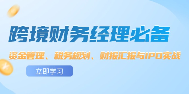 （12323期）跨境 财务经理必备：资金管理、税务规划、财报汇报与IPO实战-iTZL项目网