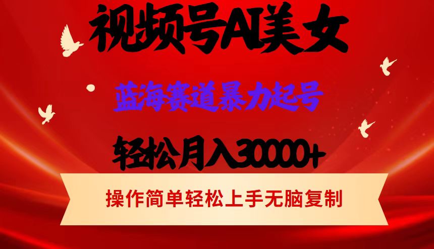 （12178期）视频号AI美女跳舞，轻松月入30000+，蓝海赛道，流量池巨大，起号猛，当…-iTZL项目网