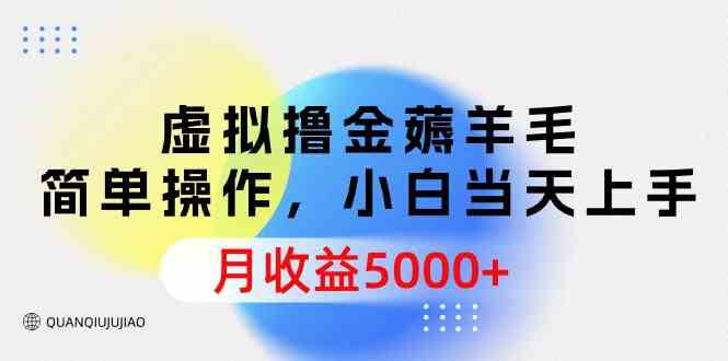 （9864期）虚拟撸金薅羊毛，简单操作，小白当天上手，月收益5000+-iTZL项目网