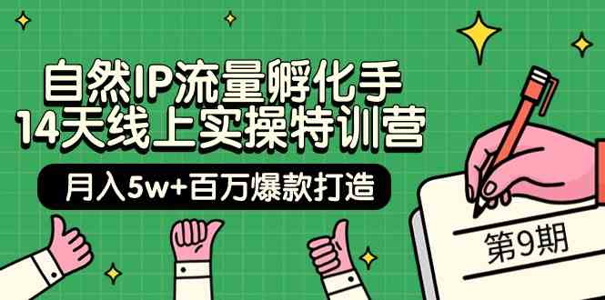 （9881期）自然IP流量孵化手 14天线上实操特训营【第9期】月入5w+百万爆款打造 (74节)-iTZL项目网