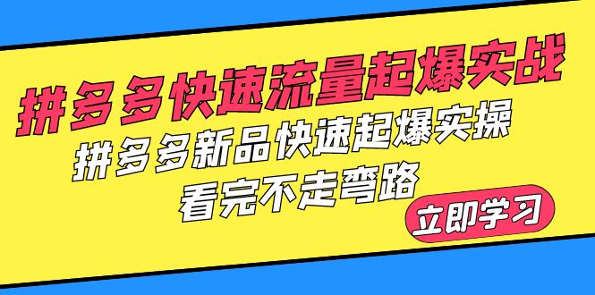 （6253期）拼多多-快速流量起爆实战，拼多多新品快速起爆实操，看完不走弯路-iTZL项目网