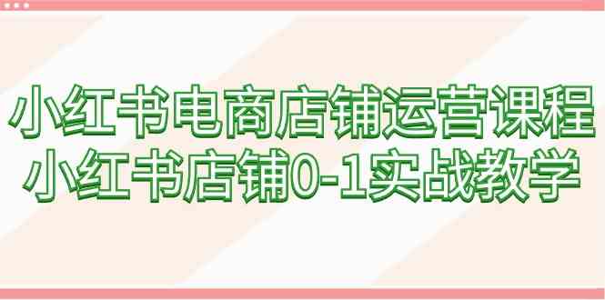 （9249期）小红书电商店铺运营课程，小红书店铺0-1实战教学（60节课）-iTZL项目网