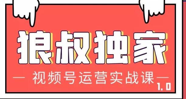 狼叔视频号运营实战课，带你深度入手微信视频号1.0，从0粉丝开始快速涨粉变现-iTZL项目网