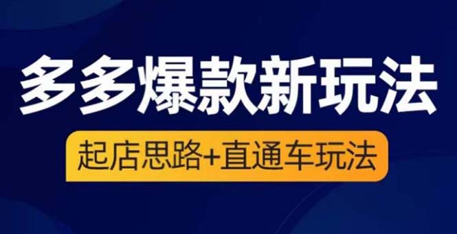 （6028期）2023拼多多爆款·新玩法：起店思路+直通车玩法（3节精华课）-iTZL项目网