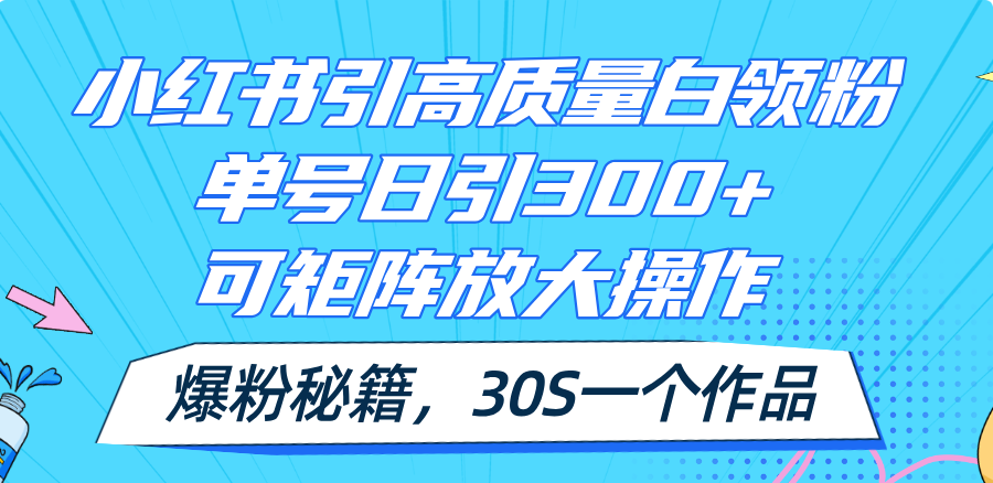 （11692期）小红书引高质量白领粉，单号日引300+，可放大操作，爆粉秘籍！30s一个作品-iTZL项目网