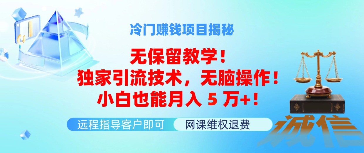 （11864期）冷门赚钱项目无保留教学！独家引流技术，无脑操作！小白也能月入5万+！-iTZL项目网