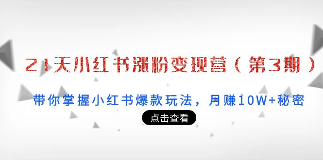 （3795期）21天小红书涨粉变现营（第3期）：带你掌握小红书爆款玩法，月赚10W+秘密-iTZL项目网