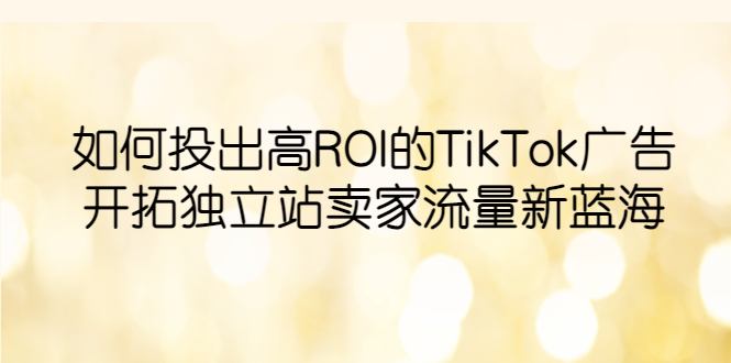 （6102期）如何投出高ROI·TikTok广告，开拓独立站卖家流量新蓝海-iTZL项目网