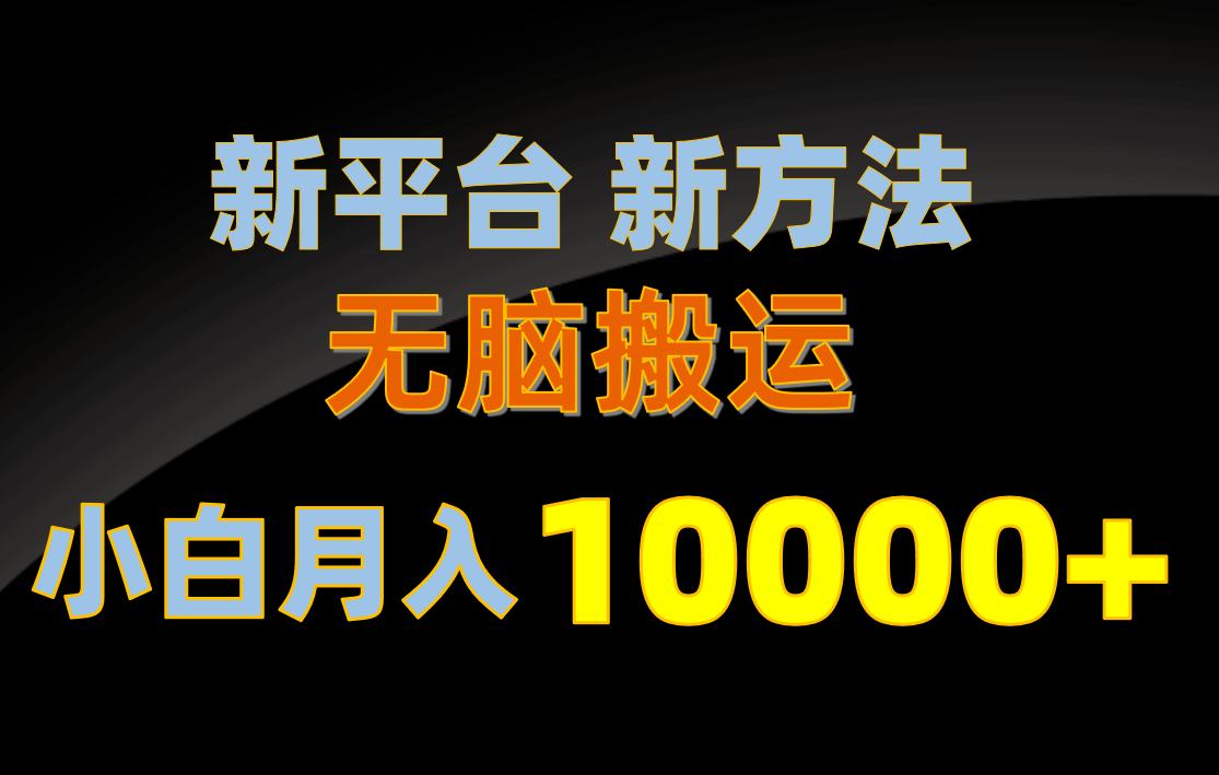 （10605期）新平台新方法，无脑搬运，月赚10000+，小白轻松上手不动脑-iTZL项目网