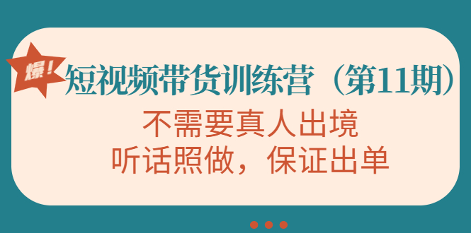 （4015期）短视频带货训练营（第11期），不需要真人出境，听话照做，保证出单-iTZL项目网