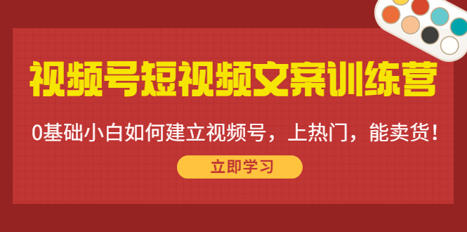 （4266期）视频号短视频文案训练营：0基础小白如何建立视频号，上热门，能卖货！-iTZL项目网