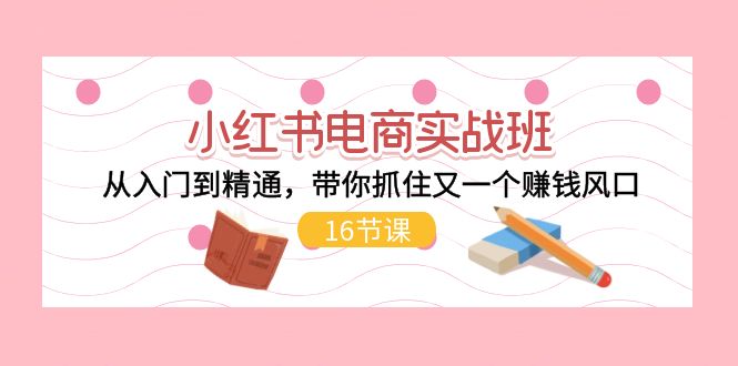 （11533期）小红书电商实战班，从入门到精通，带你抓住又一个赚钱风口（16节）-iTZL项目网