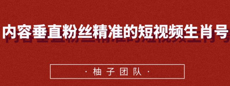 内容垂直粉丝精准的短视频生肖号，小众领域简单操作月入10000+【视频课程】-iTZL项目网