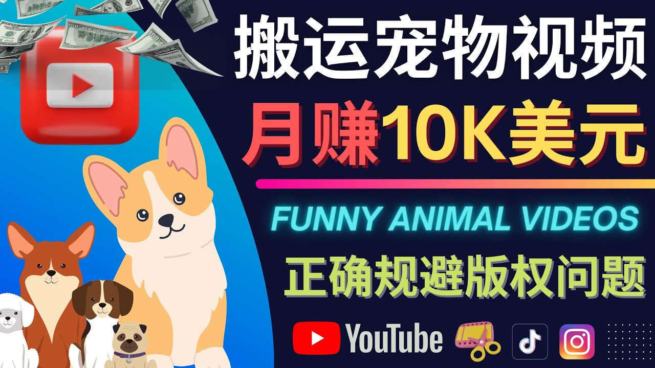 （4221期）搬运TIKTOK视频到YouTube，并进行二次创作，月赚1万美元以上-iTZL项目网