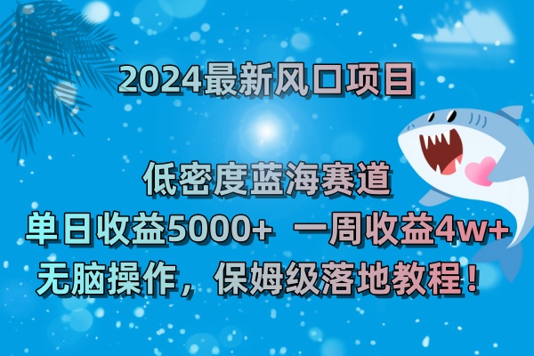 （8545期）2024最新风口项目 低密度蓝海赛道，日收益5000+周收益4w+ 无脑操作，保…-iTZL项目网