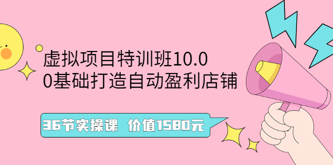 （2497期）虚拟项目特训班10.0，0基础打造自动盈利店铺 36节实操课-iTZL项目网