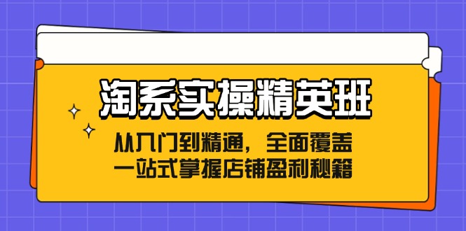 （12276期）淘系实操精英班：从入门到精通，全面覆盖，一站式掌握店铺盈利秘籍-iTZL项目网