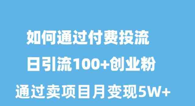 （10189期）如何通过付费投流日引流100+创业粉月变现5W+-iTZL项目网