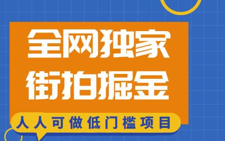 全网独家一街拍掘金，低门槛人人可做的赚钱项目【揭秘】-iTZL项目网