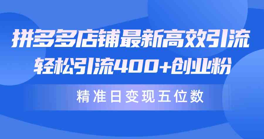 （10041期）拼多多店铺最新高效引流术，轻松引流400+创业粉，精准日变现五位数！-iTZL项目网