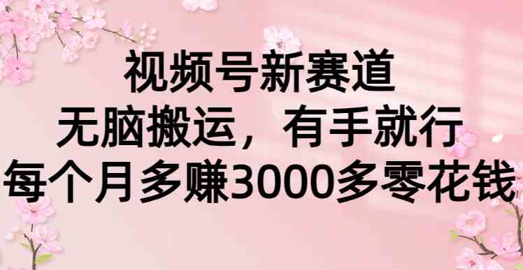 （9278期）视频号新赛道，无脑搬运，有手就行，每个月多赚3000多零花钱-iTZL项目网