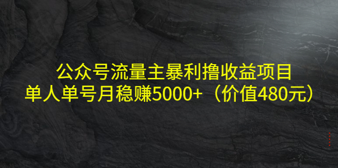 （4011期）公众号流量主暴利撸收益项目，单人单号月稳赚5000+（价值480元）-iTZL项目网