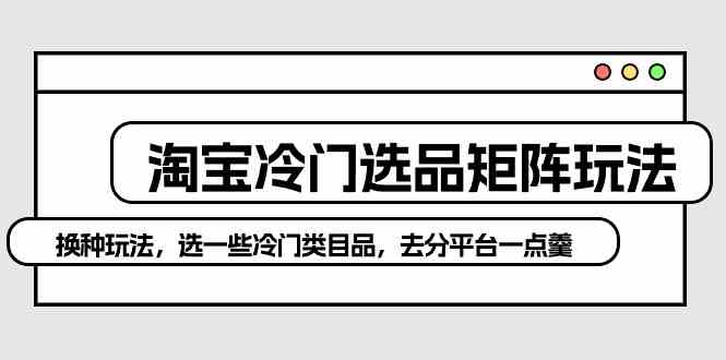 （10159期）淘宝冷门选品矩阵玩法：换种玩法，选一些冷门类目品，去分平台一点羹-iTZL项目网