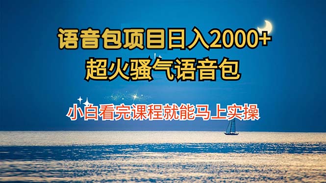 （12734期）语音包项目 日入2000+ 超火骚气语音包小白看完课程就能马上实操-iTZL项目网