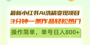 （13182期）最新小红书Ai洗稿变现项目 3分钟一条作品轻松热门 操作简单，单号日入800+-iTZL项目网