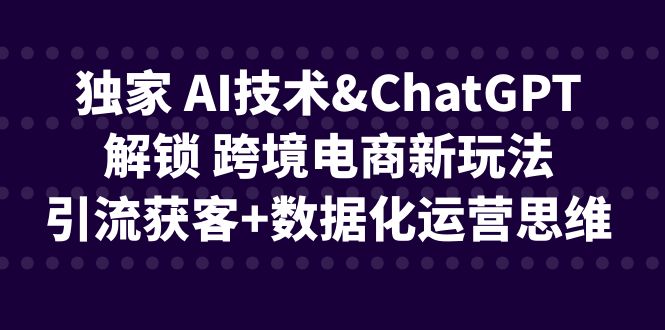 （6599期）独家 AI技术&ChatGPT解锁 跨境电商新玩法，引流获客+数据化运营思维-iTZL项目网